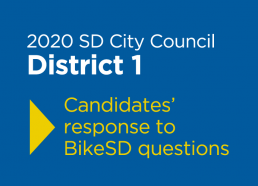 2020 SD City Council D1 candidate questionnaire